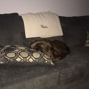 Meet your Posher, Johnnie